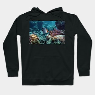 angel fish Hoodie